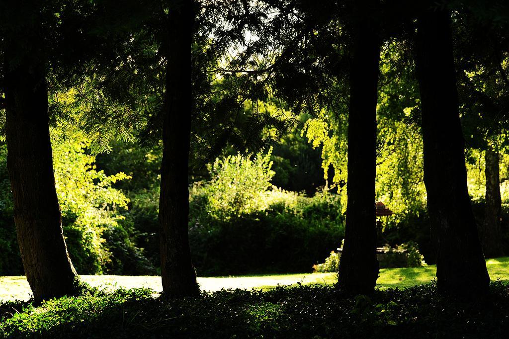Kimaro Farmhouse Colmery Bagian luar foto